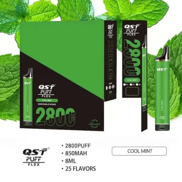 24h-vape-qst-2800-puffs-qst_2800puff_7-654×690.jpg