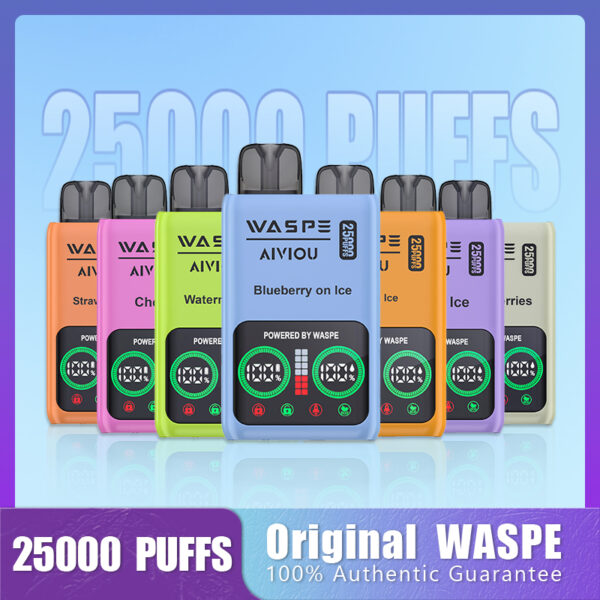 WASPE 25000 PUFFS Dual Mesh Box