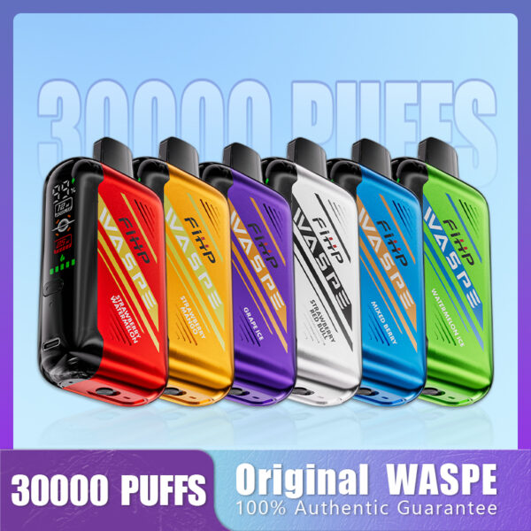 WASPE 30000 PUFFS Dual Mesh Box